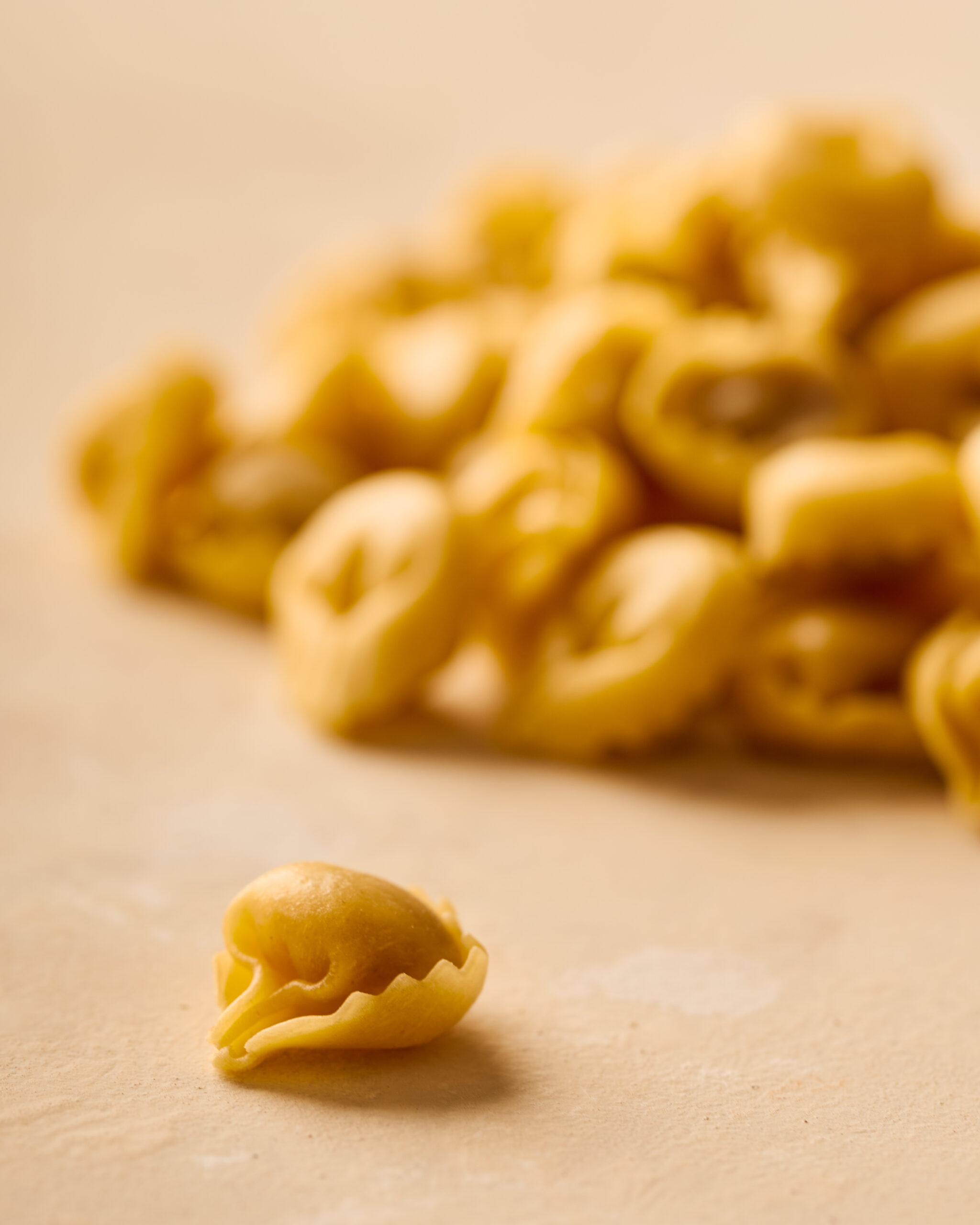 Servizio fotografico food reggio emilia parma